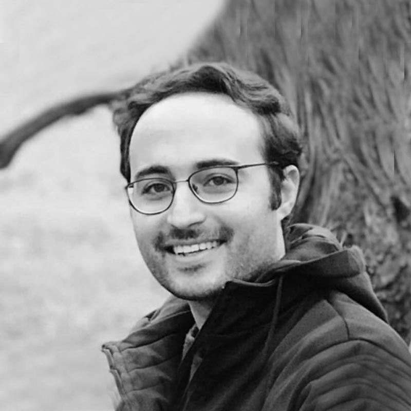 Mr. Emad Mirzaei Rayati